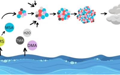 New publication on particle formation